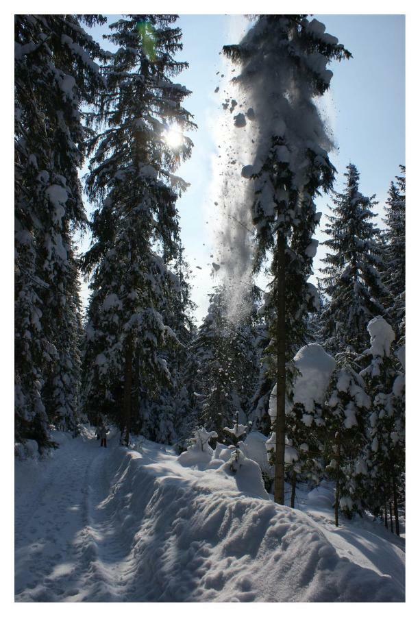 Stadraj Tatranská Bukovina Exteriér fotografie